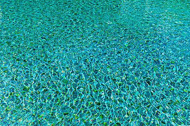 第一人称平台游戏《FORZA POLPO!》25日Steam抢先体验